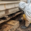 Dixie Termite & Pest Control gallery