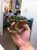 Family Pet Hospital Of Stone Oak - Pet Services