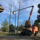 Martin's Tree Service - Tree Service