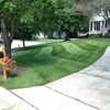 LaneScapes Lawn Care gallery