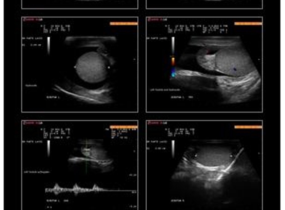 Diagnostic Medical Imaging - Marc H Simonson MD - Union City, NJ