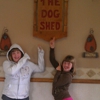 The Dog Shed gallery