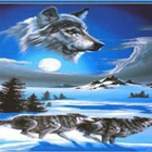 Wolfs Creations