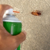 Bugged Out Pest Control gallery