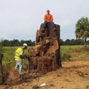 Arbor Works Tree Experts, LLC - Arborists