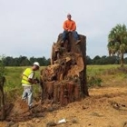 Arbor Works Tree Experts, LLC