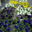 Redfern's Nursery - Nurseries-Plants & Trees