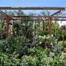 Palo Verde Nursery - Nurseries-Plants & Trees