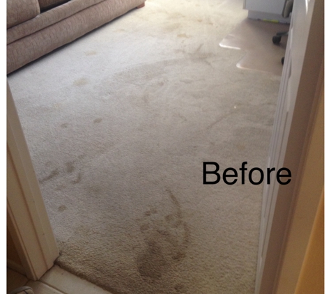 Black2White Carpet Cleaning - Thermal, CA