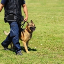 Crystal Clear Canine Academy - Pet Training