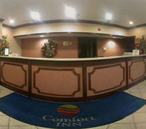 Comfort Inn - Henderson, KY