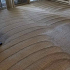 Dust Devil Carpet Cleaning