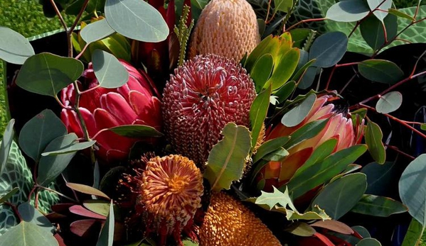 The Wild Bunch Florist & Living Gifts - Karnup, WA