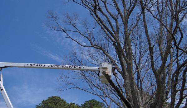 Brad's Tree Service Inc. - Gloucester, VA