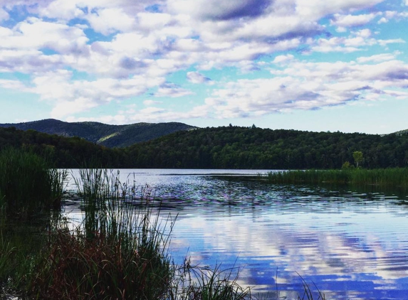 Gifford Woods State Park - Killington, VT