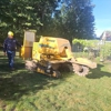 Acmy Tree Service gallery