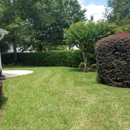 Gold Leaf Landscape LLC - Lawn Maintenance
