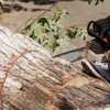 Carrick's Tree Service gallery