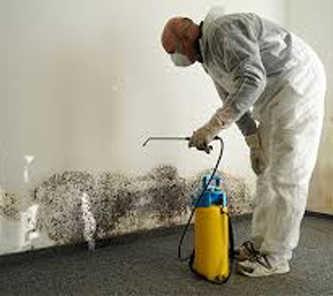 Reliable Mold Remediation