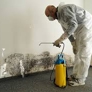 Reliable Mold Remediation