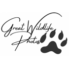 Great Wildlife Photos