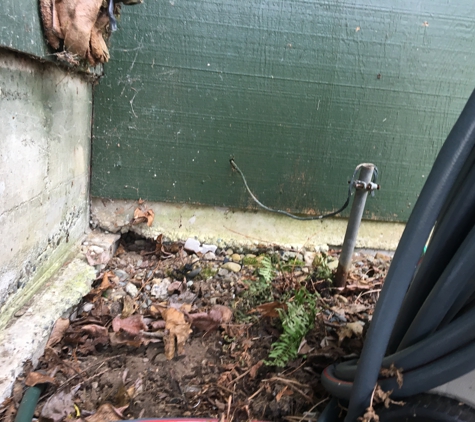 Parker Eco Pest Control - Seattle, WA. An entry point for rats along the foundation of a house