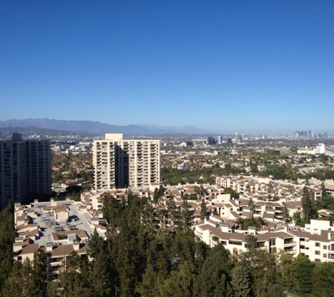 Century Dream - Los Angeles, CA