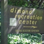 Dimond Lions Pool