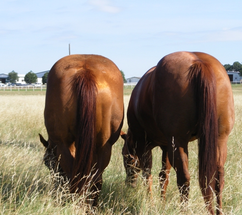 Fossil Gate Farms - Argyle, TX