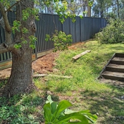 Gallery Image Number 1
