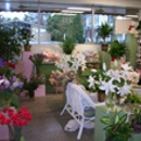 Basket Tree Florist - Flowers, Plants & Trees-Silk, Dried, Etc.-Retail