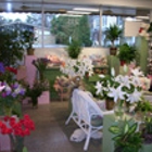 Basket Tree Florist