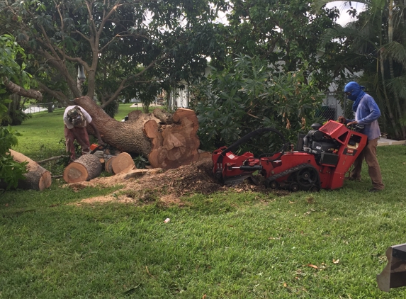 Steve's Tree Service & Removal - Riviera Beach, FL