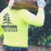Brothers Tree Service gallery