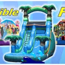 Fanatical Bounce House and Costume Character Rentals - Children's Party Planning & Entertainment