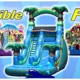 Fanatical Bounce House and Costume Character Rentals