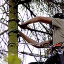 Pulla Tree Services - Tree Service