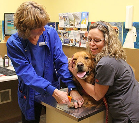 Marysville Animal Center - Marysville - Marysville, OH