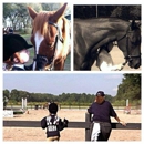 M & R Ranch - Horse Training