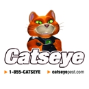 Catseye Pest Control - Boston, MA - Termite Control