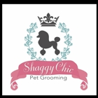 Shaggy Chic Grooming