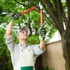 Affordable Tree Service By Mark Hicks gallery