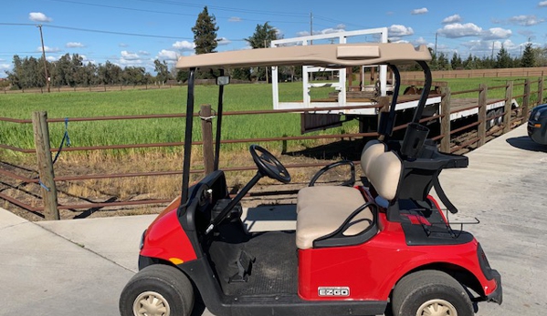 Woody's Golf & Industrial Vehicles - Denair, CA