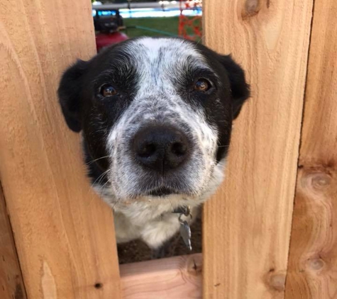 Western Fence & Rail - Gresham, OR. Give me treats