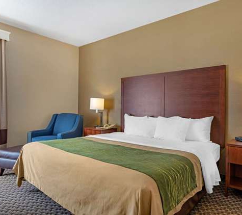 Comfort Inn - Charlotte, MI