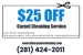 KLM Carpet Care Service - Carpet & Rug Cleaners