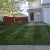 Lawn Pro Solutions gallery