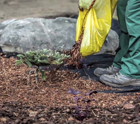 Pope's Mulch, Dirt & Sand - La Vergne, TN