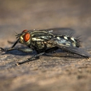 Haralson Termite & Pest Control - Pest Control Equipment & Supplies