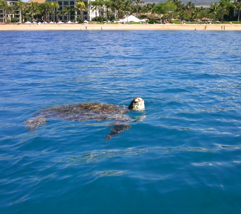 Aloha Dive Center - Lahaina, HI